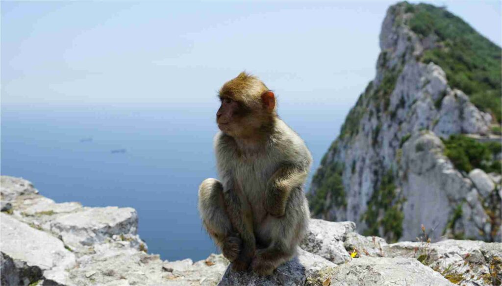 Gibraltar - One day trip from Malaga